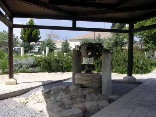 Galeriebild