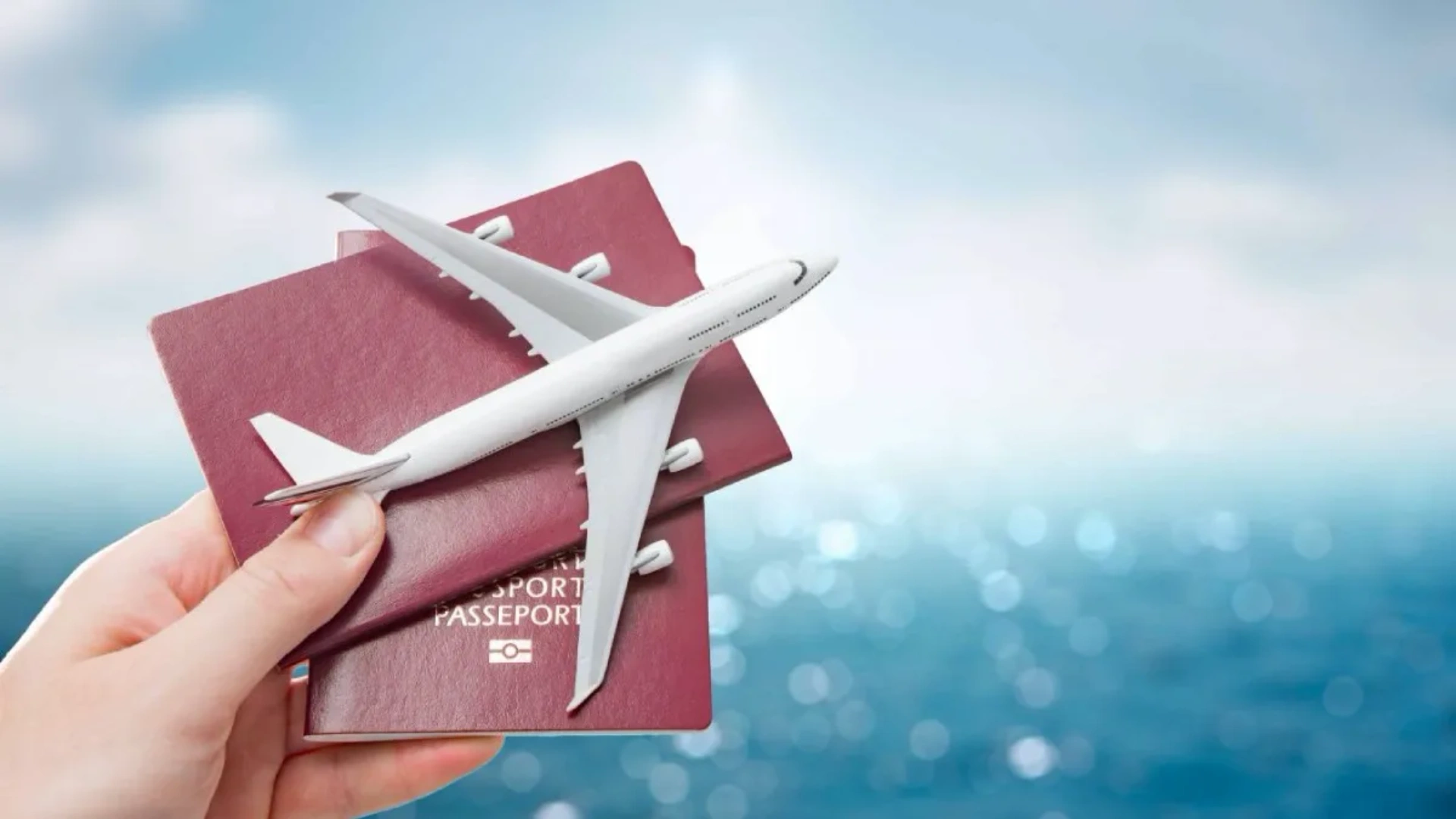 Flight Ticket Services