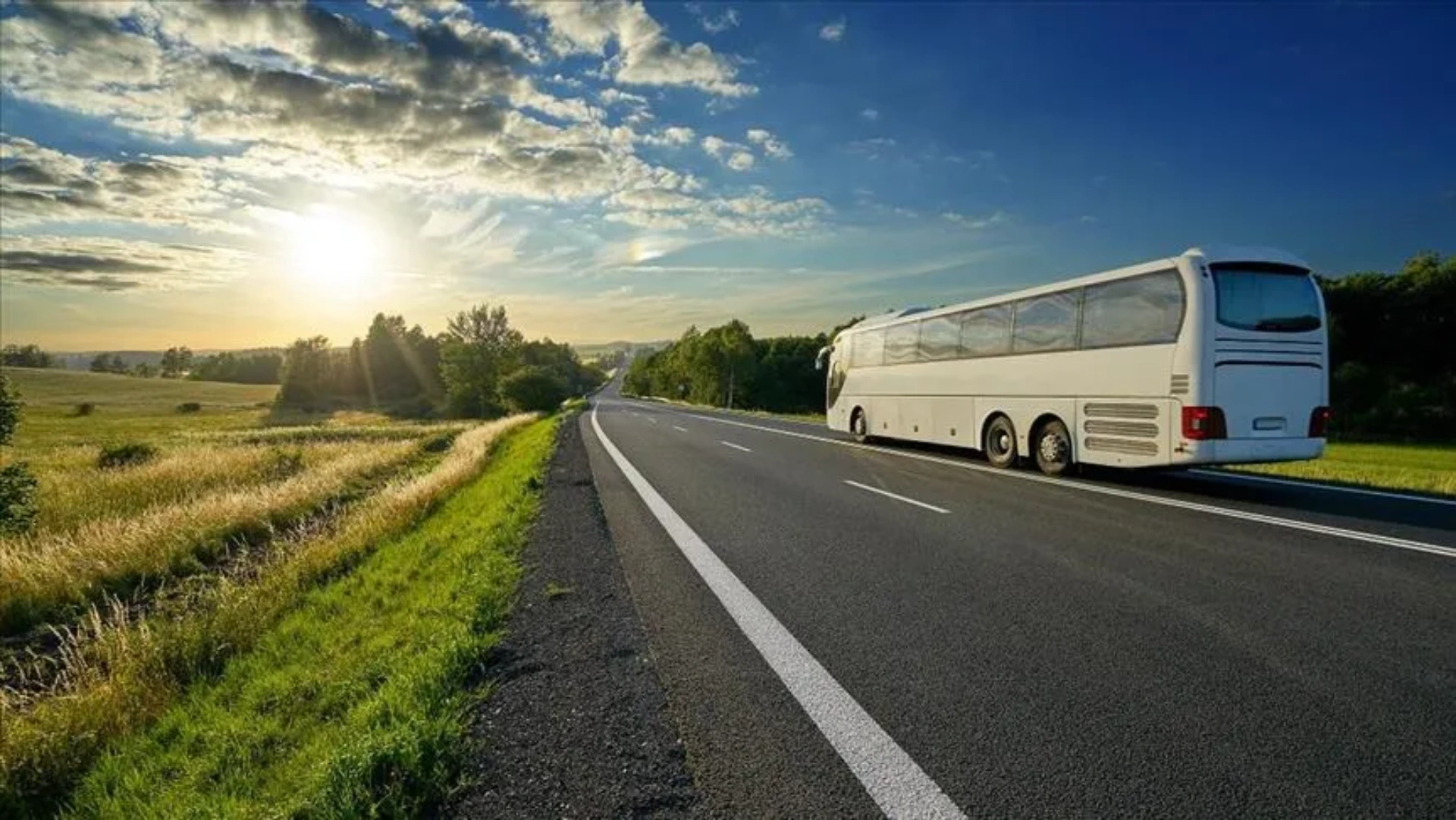 Bus Ticket Services
