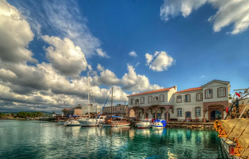 Wine Tasting in Urla