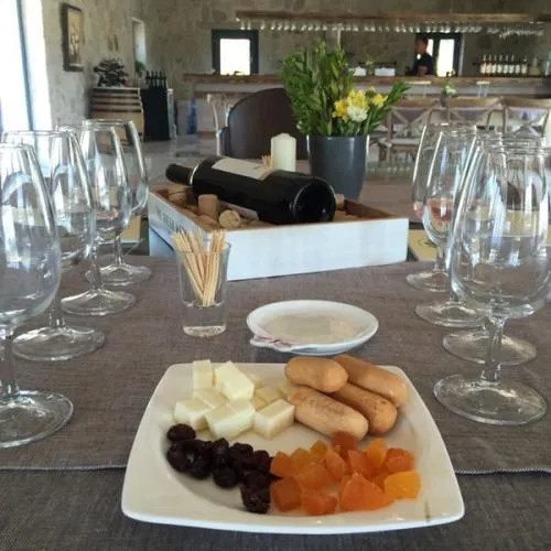 Wine Tasting in Urla 3