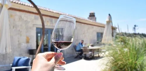Wine Tasting in Urla 4