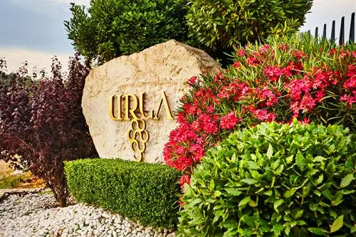 Wine Tasting in Urla 5